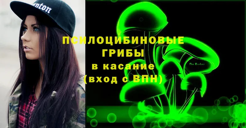 мега ССЫЛКА  купить наркоту  Владивосток  Галлюциногенные грибы Cubensis 